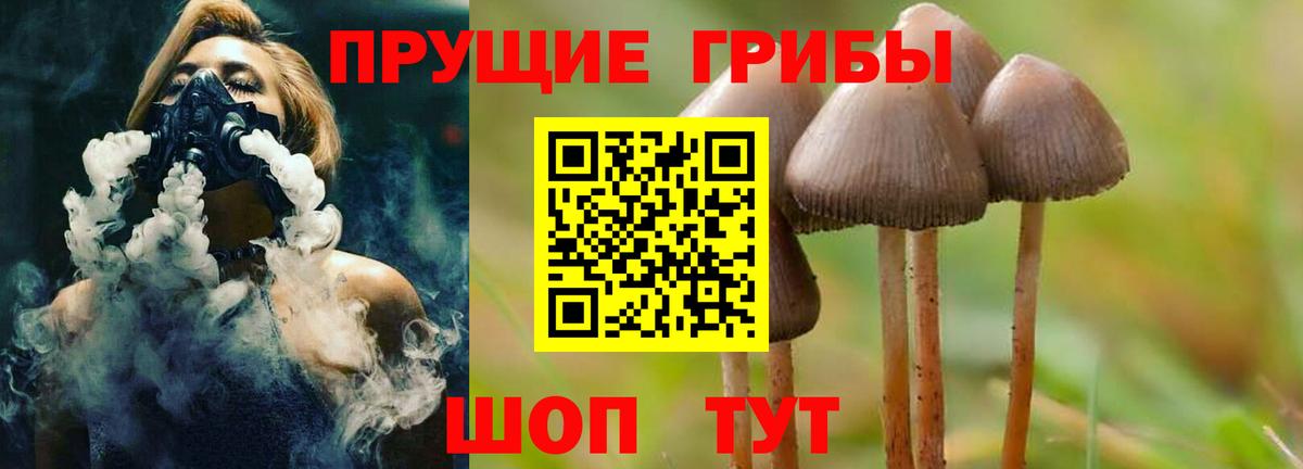 Галлюциногенные грибы ЛСД Россия
